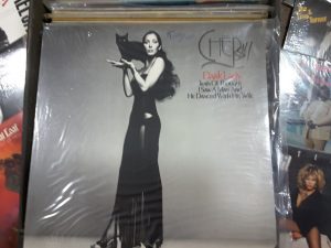 Cher Dark Lady | Des Moines Auction | Store It America